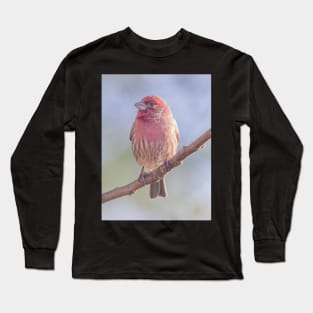 House Finch on blue/green blurred background Long Sleeve T-Shirt